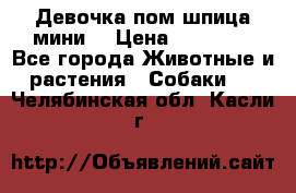 Девочка пом шпица мини  › Цена ­ 30 000 - Все города Животные и растения » Собаки   . Челябинская обл.,Касли г.